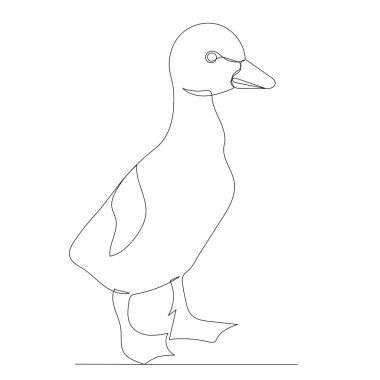 Ördek yavrusu çizimi aralıksız bir çizgi, çizim, vektör