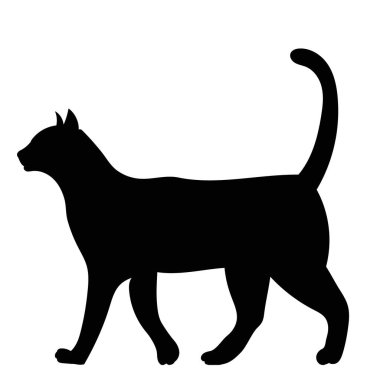 Beyaz arka plandaki kedi siyah silueti, izole