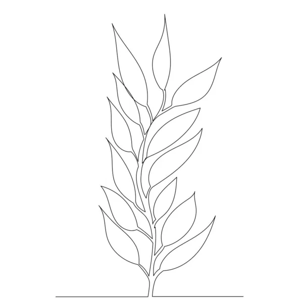Plant Drawing One Continuous Line Sketch Vector — Stock Vector