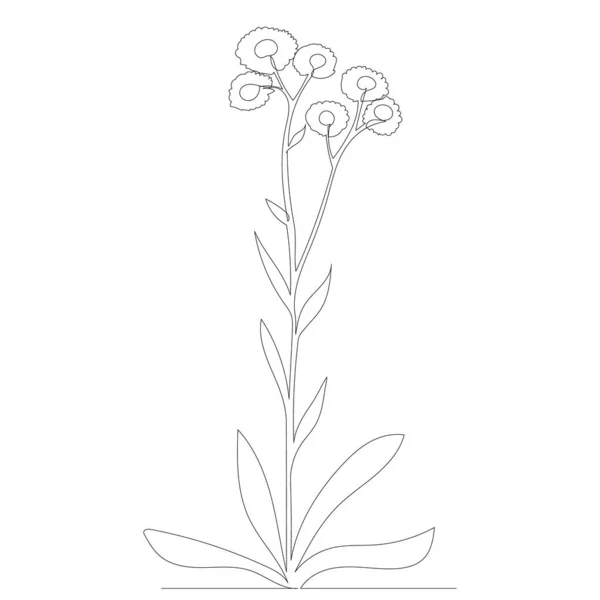 Цветы Рисуются Одной Сплошной Линией Эскиз — стоковый вектор