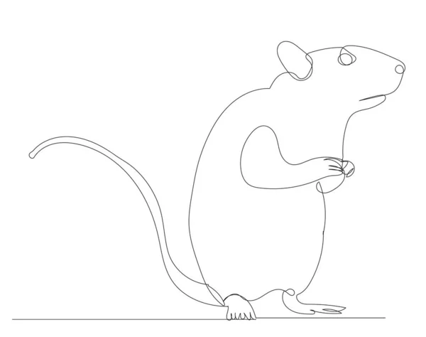 Ratón Dibujo Rata Por Una Línea Continua Boceto — Vector de stock