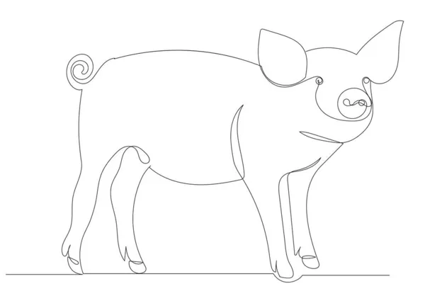 用一条线 矢量画猪 — 图库矢量图片