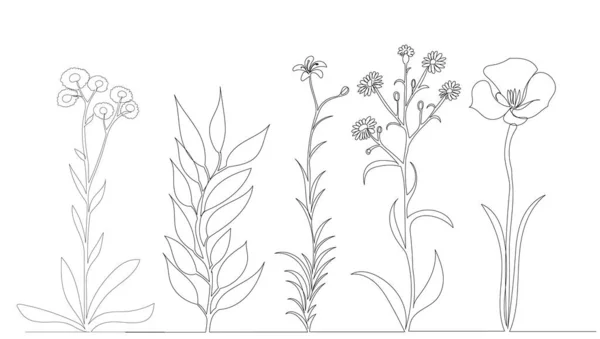 꽃들은 연속적 스케치 벡터에 그려집니다 — 스톡 벡터