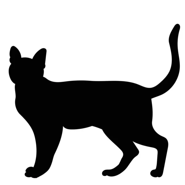 Katze Auf Weißem Hintergrund Schwarze Silhouette Isoliert Vektor — Stockvektor