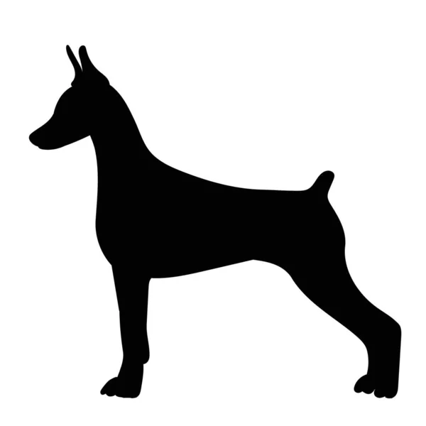 Pies Mała Czarna Sylwetka Odizolowany — Wektor stockowy
