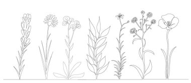 Çiçekler, bitkiler koleksiyonu kesintisiz çizgi çizimi, çizim