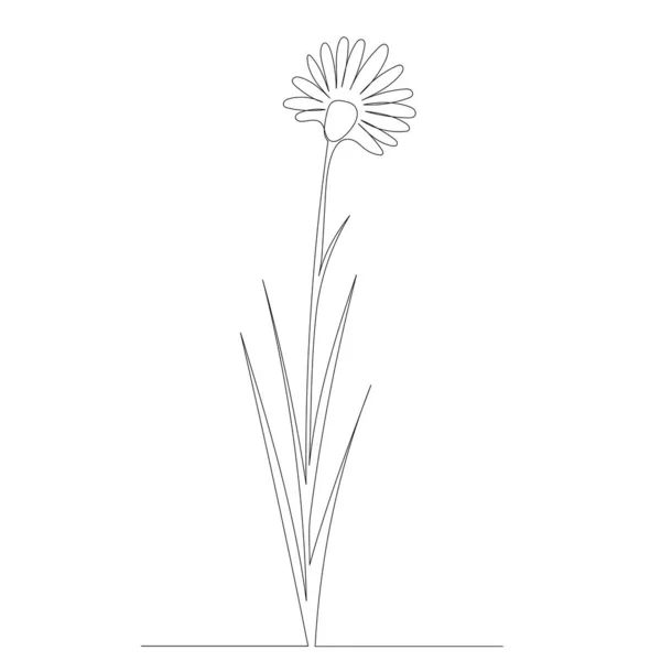 Çiçek Sürekli Çizgi Çizimi Çizim Vektör — Stok Vektör