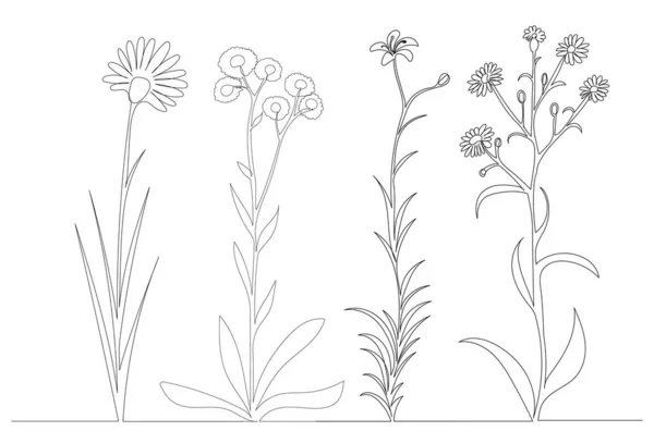 Blommor Växter Samling Kontinuerlig Linje Ritning Skiss Vektor — Stock vektor
