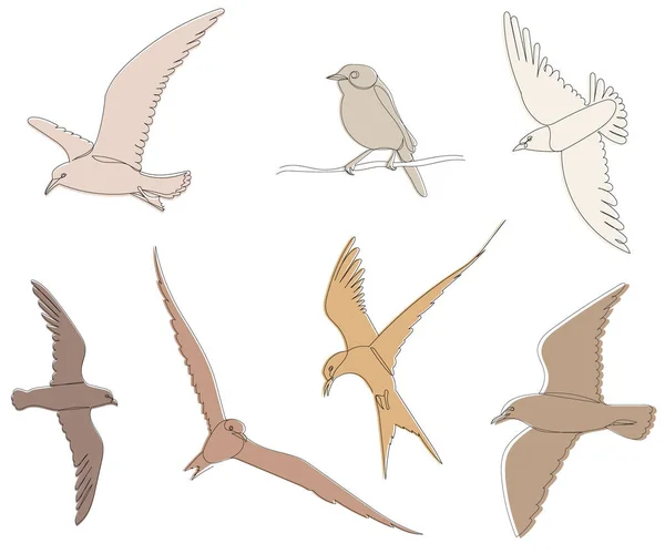 Летающие Птицы Белом Фоне Эскиз Вектор — стоковый вектор