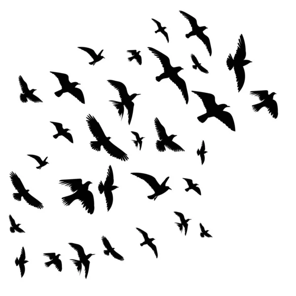 Uccelli Volanti Silhouette Nera Isolato Vettore — Vettoriale Stock