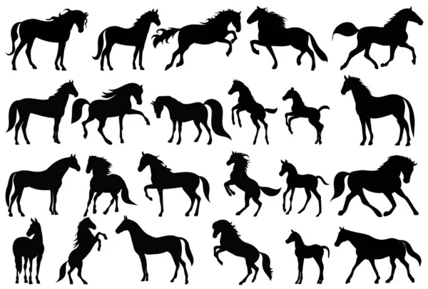 Cavallo Set Silhouette Nera Isolato Vettore — Vettoriale Stock