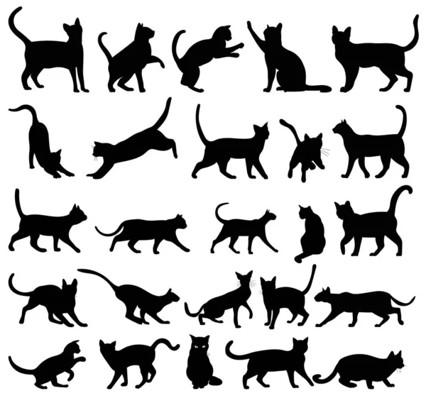 Cat Set Black Silhouette Isolated Vector — Stock Vector