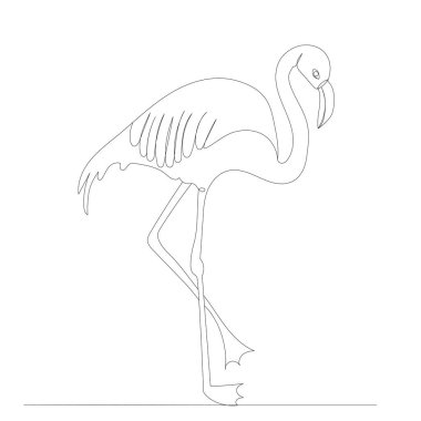 flamingo, sürekli çizgi çizimi, çizim, vektör