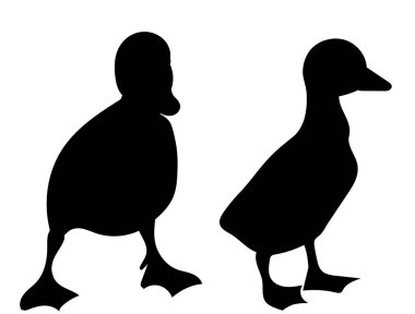 Beyaz zemin üzerinde ördek yavrularının silueti, izole edilmiş, vektör