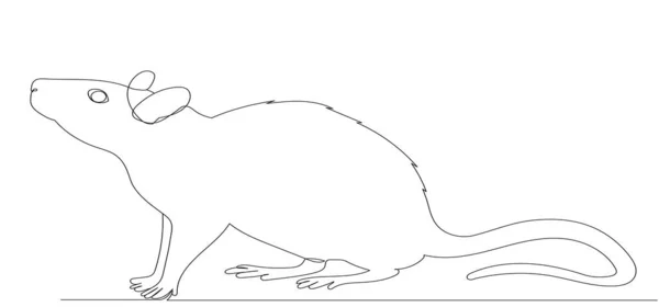 Αρουραίος Ποντίκι Συνεχές Σχέδιο Γραμμής Σκίτσο — Διανυσματικό Αρχείο