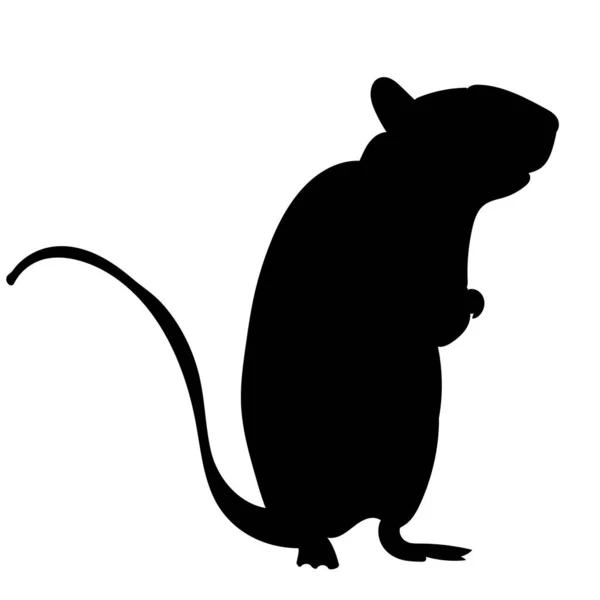 Ποντίκι Σιλουέτα Λευκό Φόντο Απομονωμένο — Διανυσματικό Αρχείο