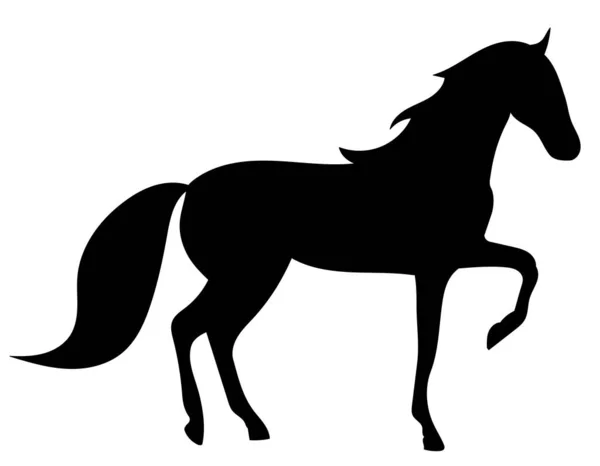 Silhouette Cheval Sur Fond Blanc Isolé Vecteur — Image vectorielle