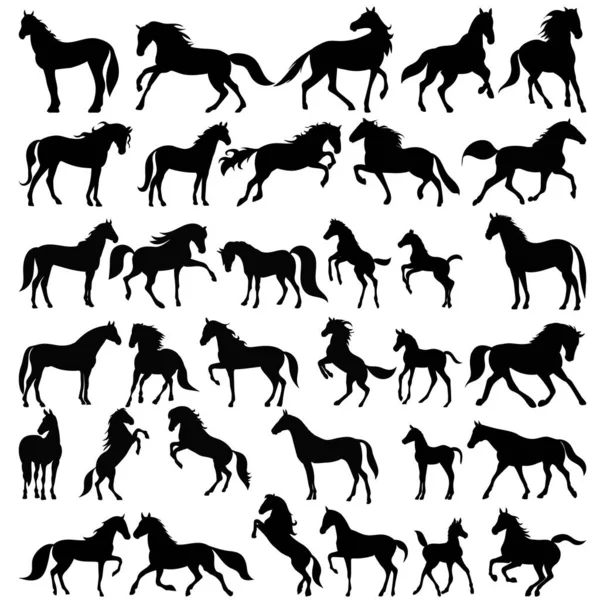 Silhouette Cheval Sur Fond Blanc Isolé Vecteur — Image vectorielle