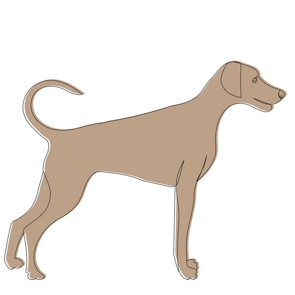 Hund Braun Bildskizze Vektor — Stockvektor
