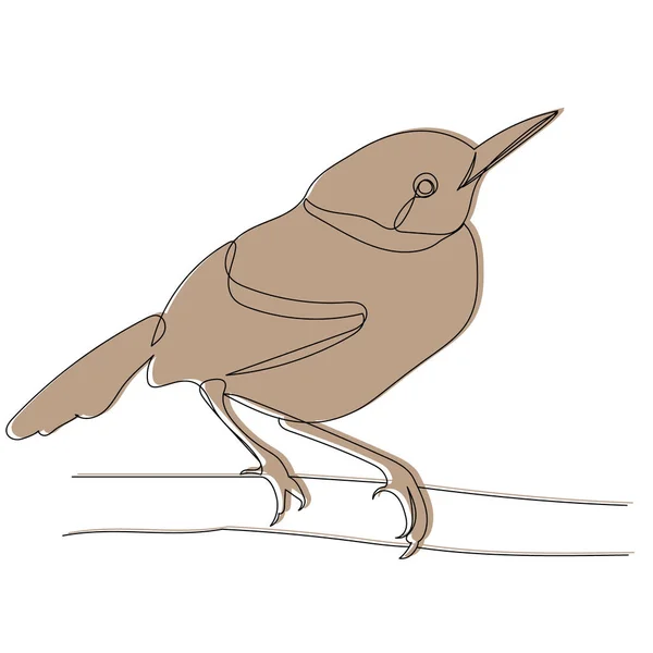 Pájaro Una Rama Dibujo Vector Aislado — Vector de stock