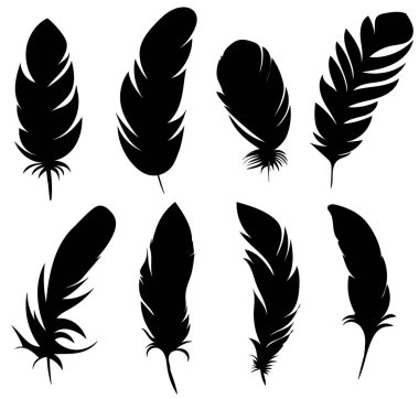 Beyaz zemin üzerinde kuş tüyü seti, izole edilmiş, vektör