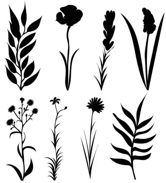 Silueta Una Planta Flores Sobre Fondo Blanco Aislado Vector — Archivo Imágenes Vectoriales