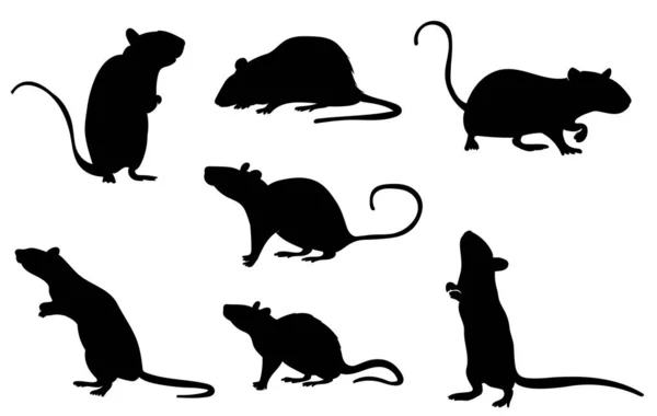 Silhouette Set Mouse Rat White Background Isolated Vector — Stock Vector