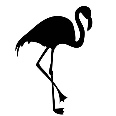 Flamingo beyaz arkaplan silueti, izole, vektör