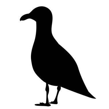 Bir martının silueti beyaz arkaplan, izole, vektör