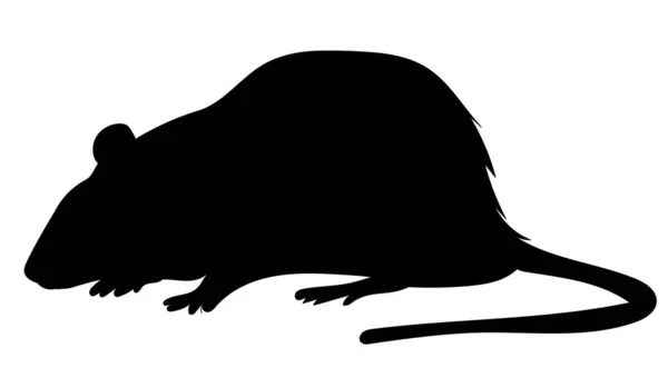 轮廓鼠标 老鼠白色背景 — 图库矢量图片