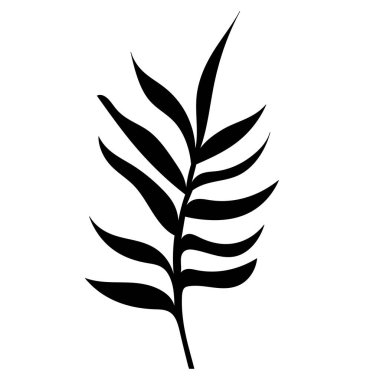 Beyaz arkaplanda siluet bitkisi