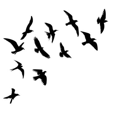 Siluet deniz yaşamı, hayvanlar, izole edilmiş, vektör