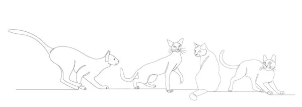 Gatos Dibujo Línea Continua Boceto Vector — Archivo Imágenes Vectoriales