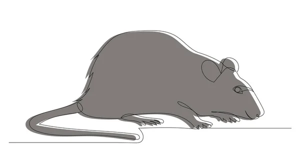 Graue Maus Rattenskizze Vektor — Stockvektor