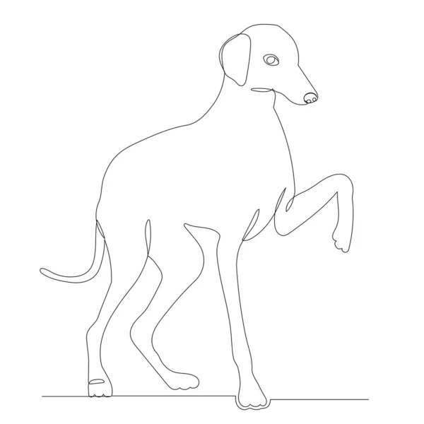 Dog Drawing One Continuous Line Sketch — Stock Vector