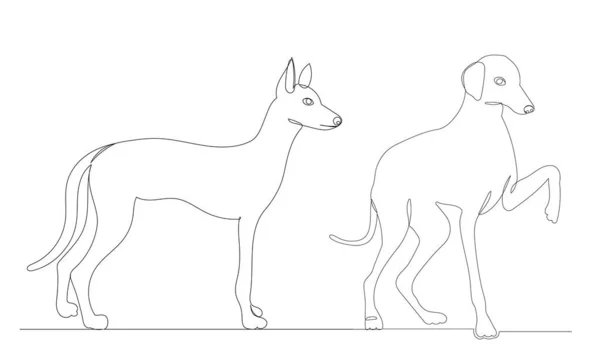 Cani Disegnando Una Linea Continua Schizzo Vettore — Vettoriale Stock