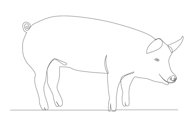 Porc Dessin Par Une Ligne Continue Croquis Vecteur — Image vectorielle