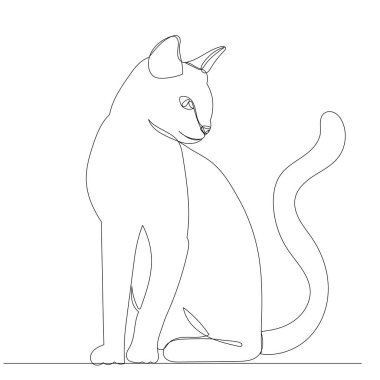 kedi, sürekli çizim yapıyor, çizim