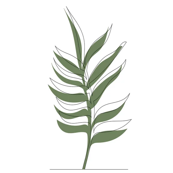 Groene Plant Witte Achtergrond Schets Vector — Stockvector