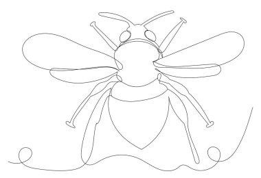 Böcek, böcek aralıksız bir çizgi çiziyor.