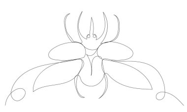 Böcek, böcek sürekli bir çizgi çiziyor, çizim, vektör