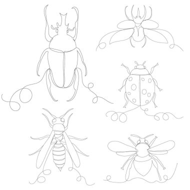 Böcekler, böcekler sürekli bir çizgi çiziyorlar, çizim, vektör.