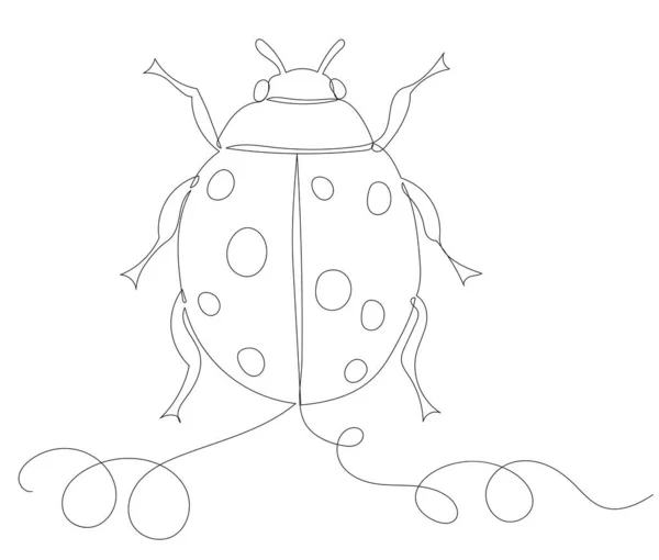 Ladybug Drawing One Continuous Line Sketch Vector — Stock Vector