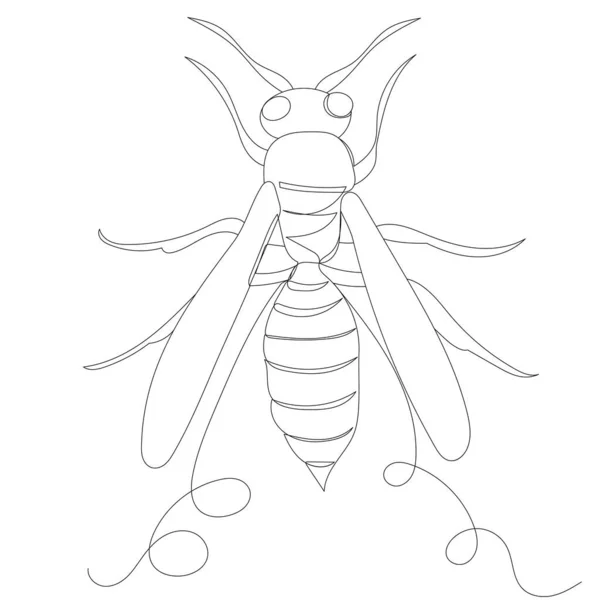 Bee Drawing One Continuous Line Sketch Vector — Stock Vector