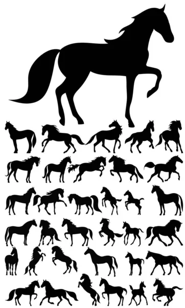 Ensemble Silhouette Cheval Isolé Vecteur — Image vectorielle