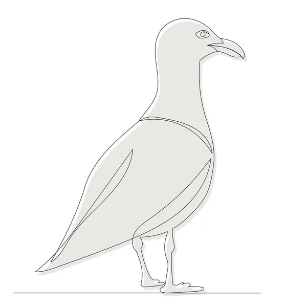 Esbozo Gaviota Contorno Vector Aislado — Archivo Imágenes Vectoriales