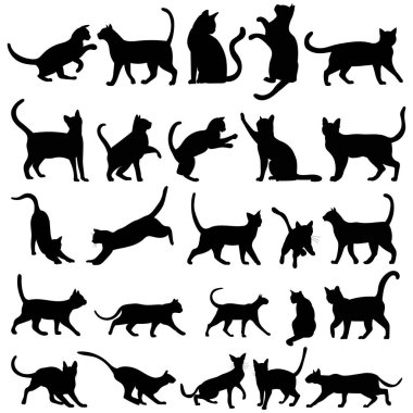 siyah siluet kedi, set, koleksiyon izole edilmiş, vektör