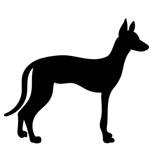 Czarny Sylwetka Pies Stojący Odizolowany — Wektor stockowy
