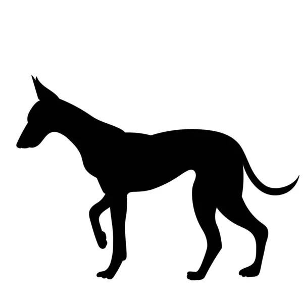 Černý Silueta Pes Stojící Izolovaný Vektor — Stockový vektor