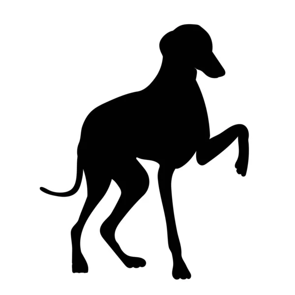 Černá Silueta Pes Izolovaný Vektor — Stockový vektor